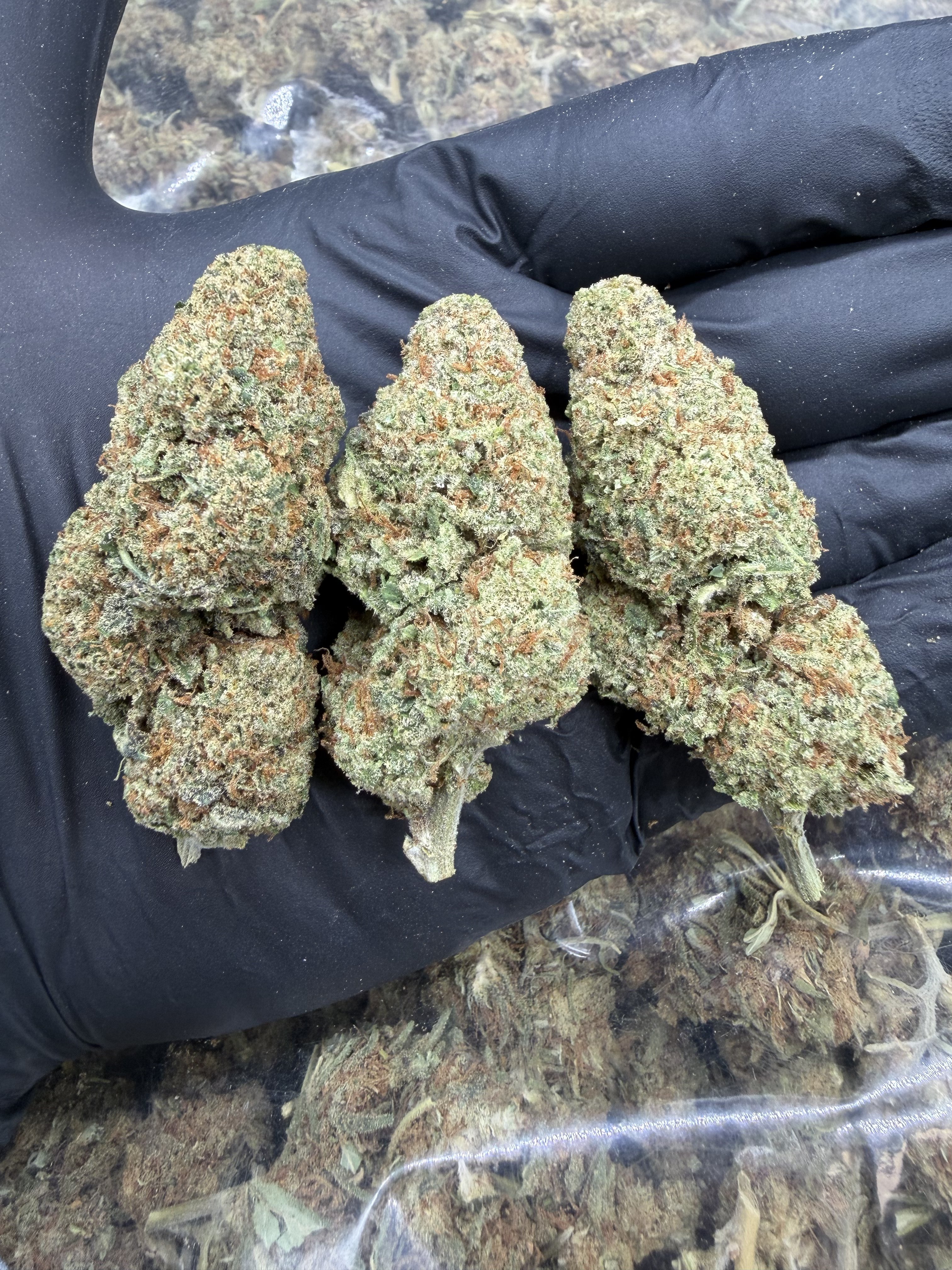 Frosted Kush