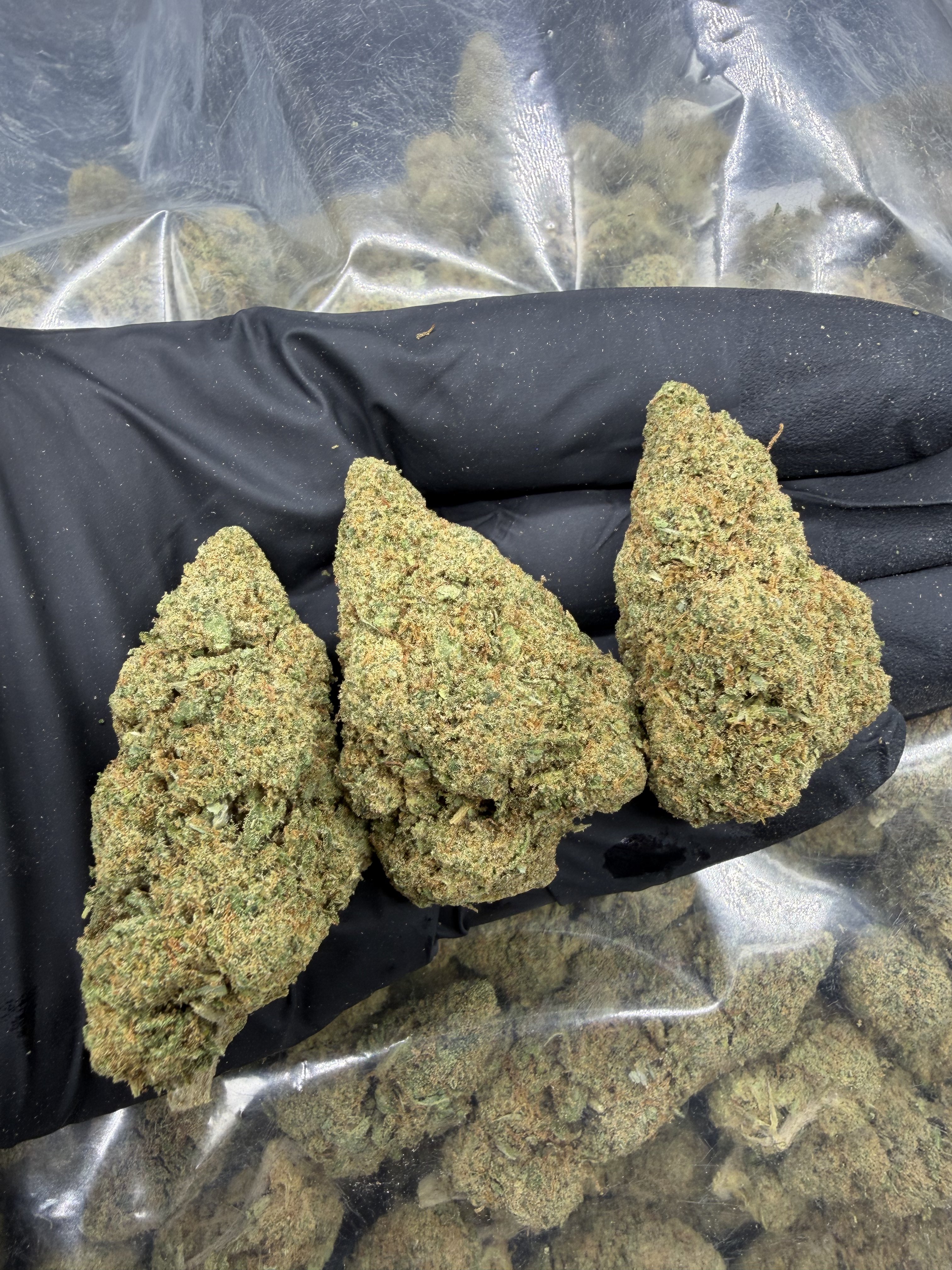 Girl Scout Cookies