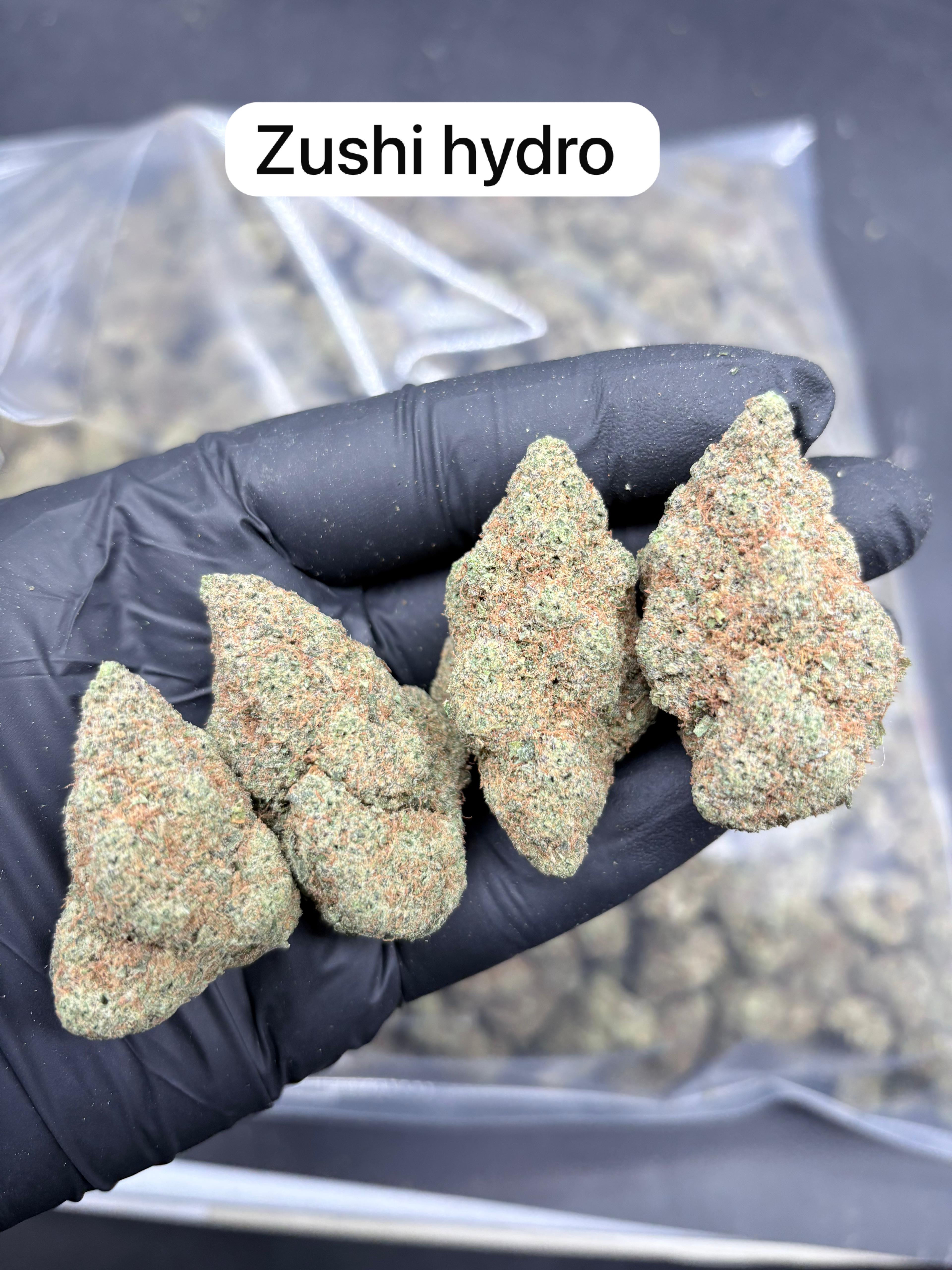 Zushi Hydro