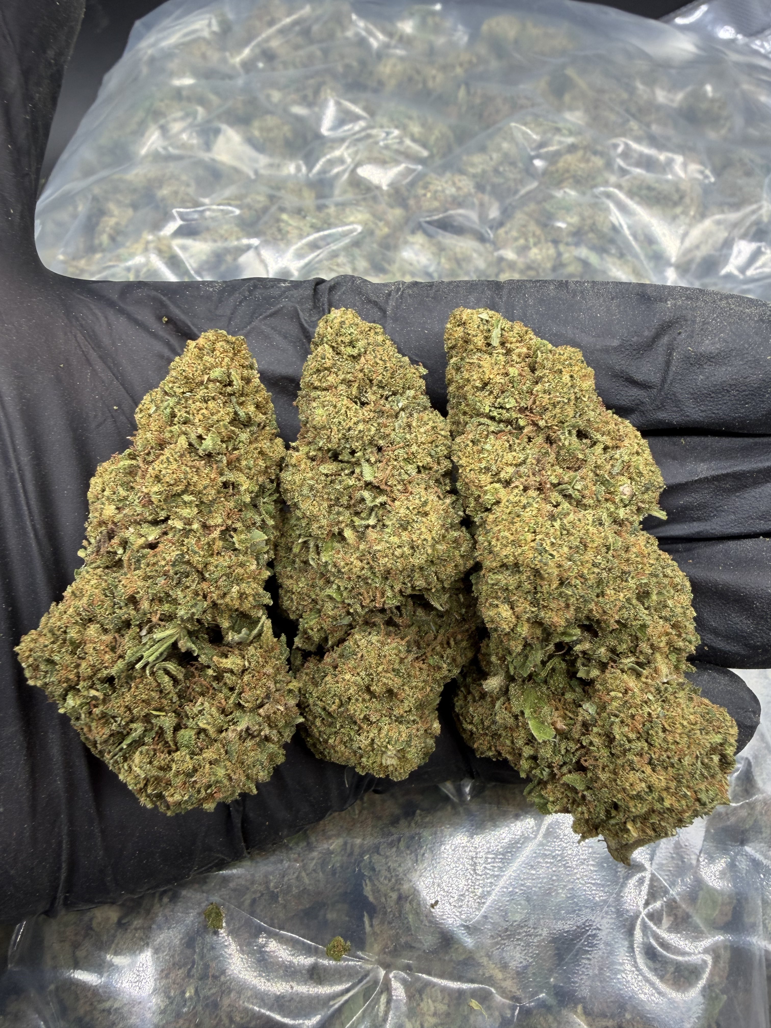 Apple Fritter