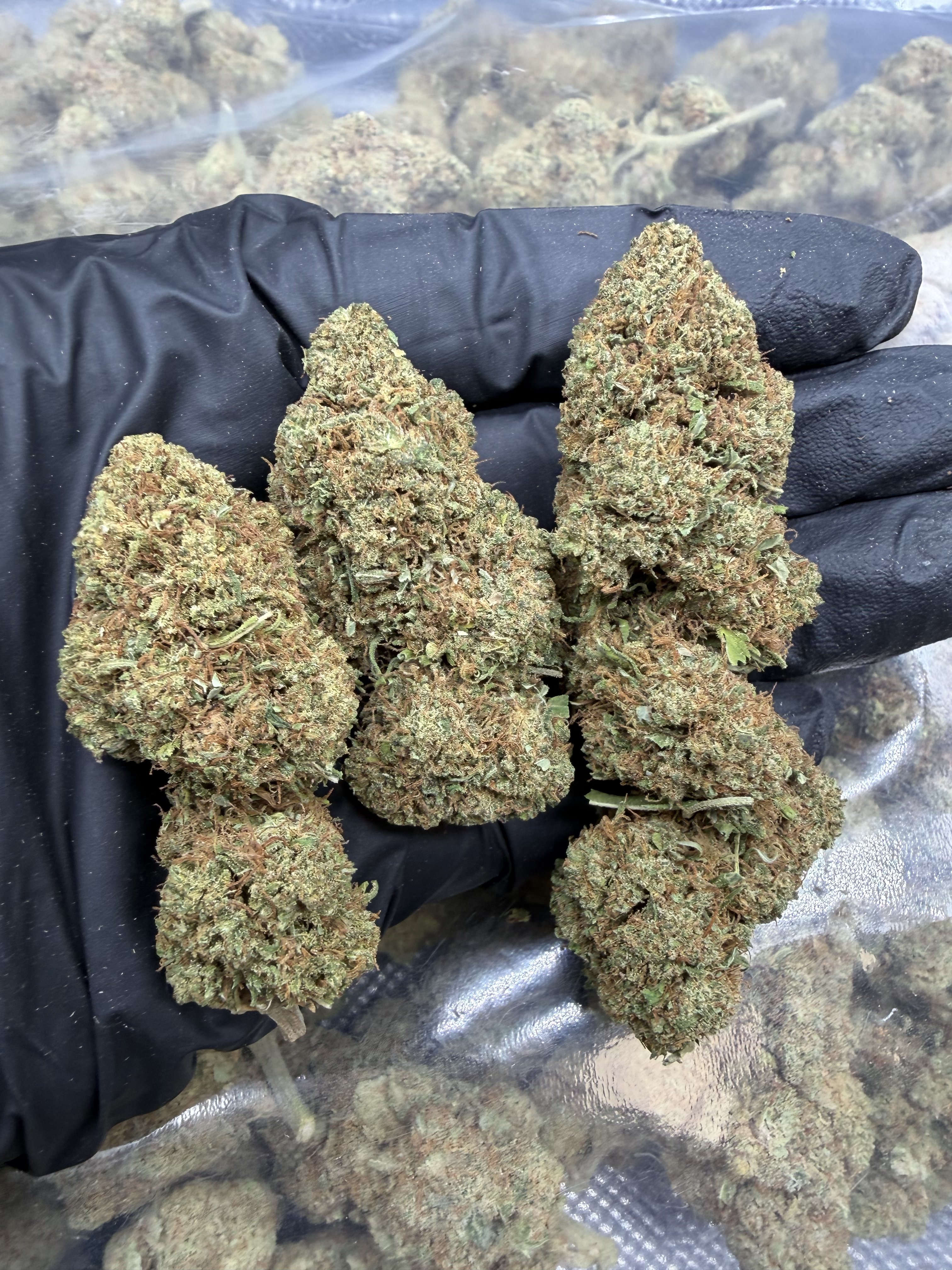 Bullet Kush