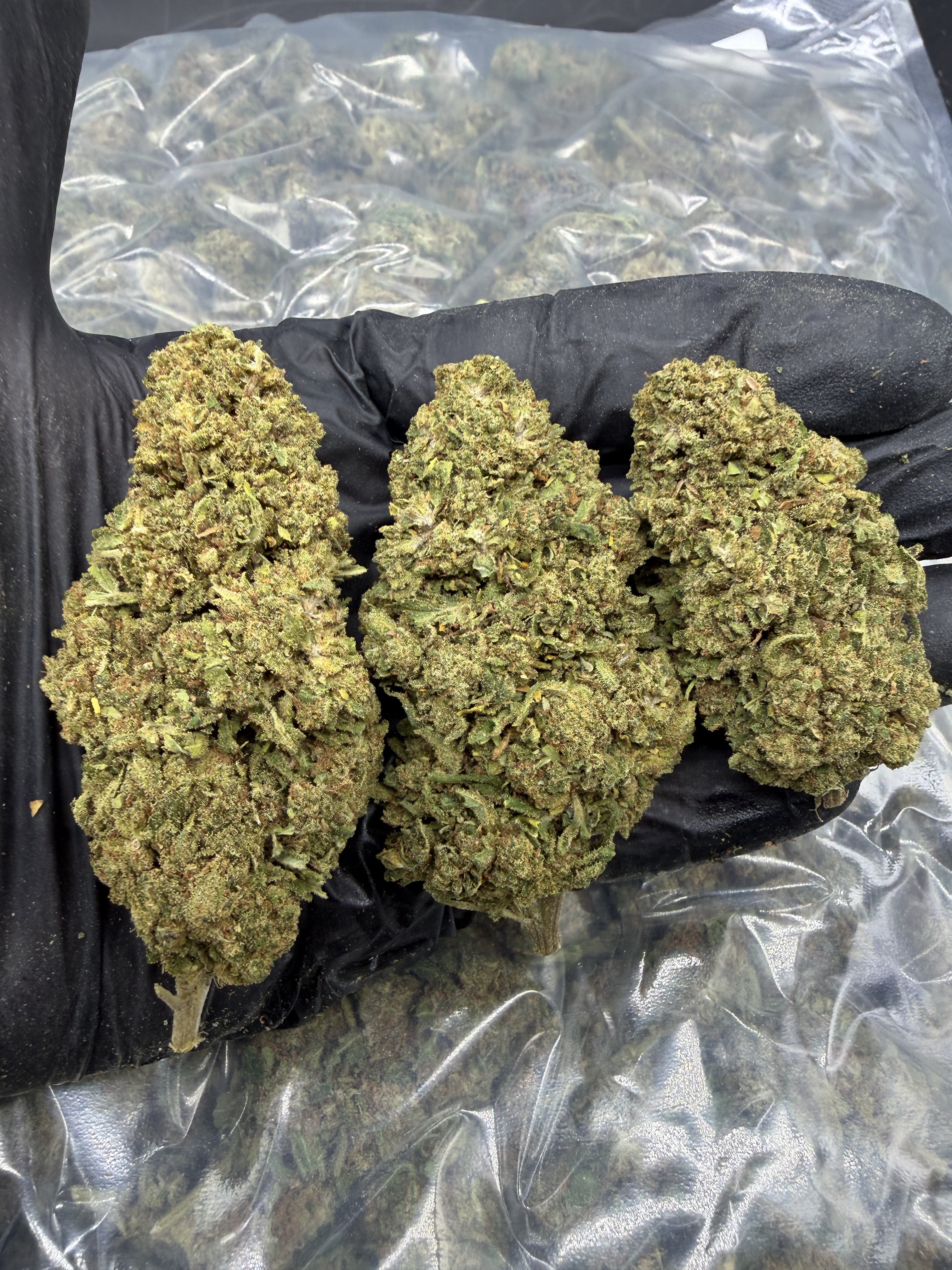Juicy Fruit
