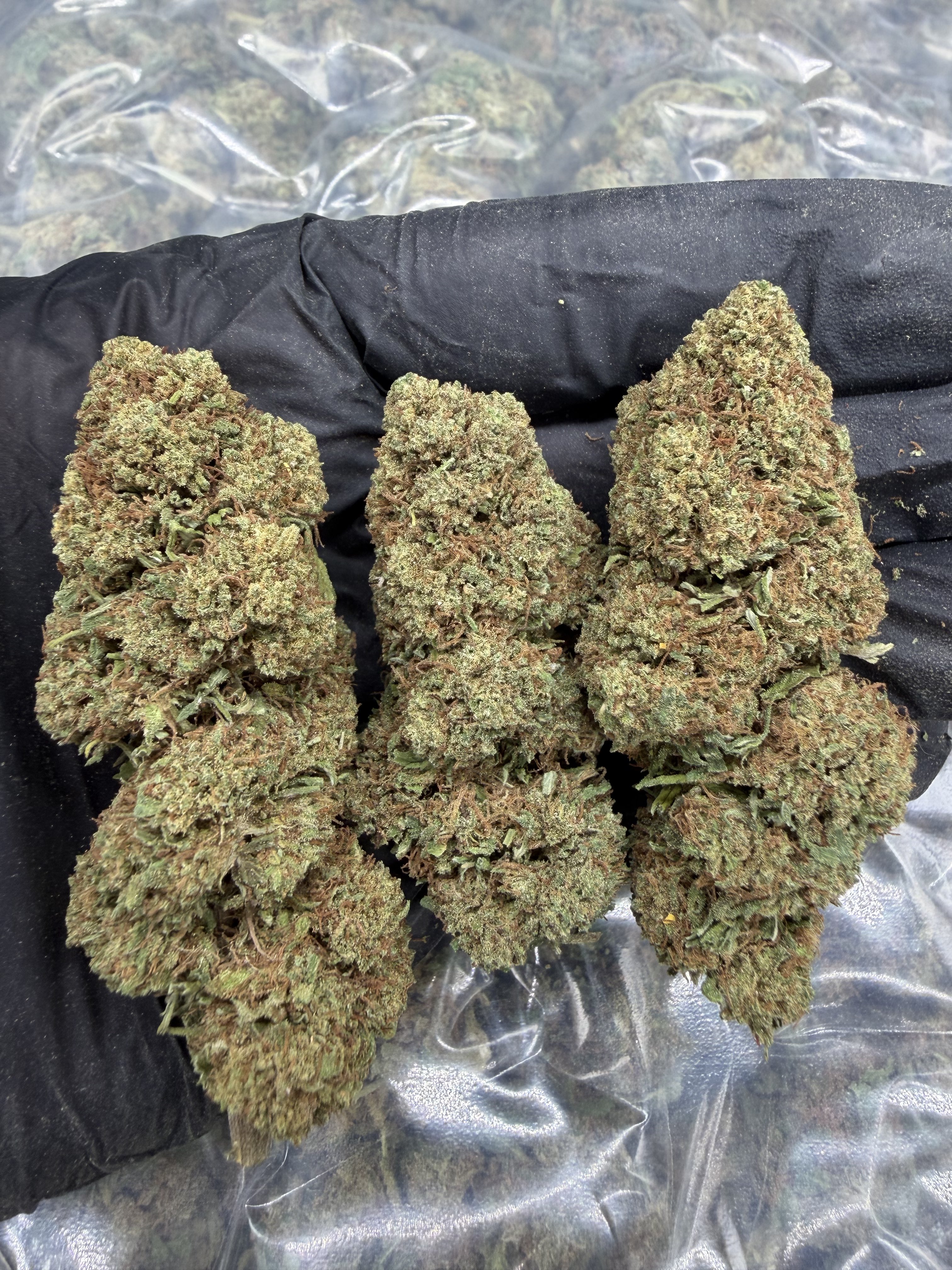 Fiori CBD Standard